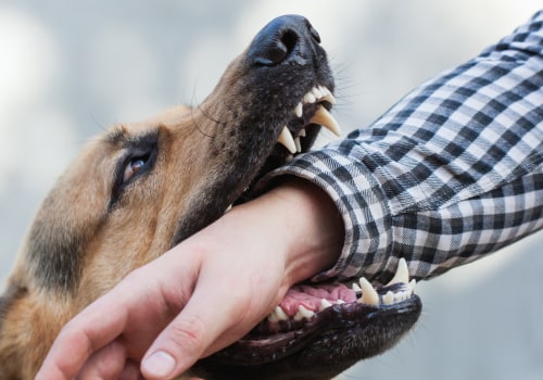 The Long-Term Effects of Dog Bites